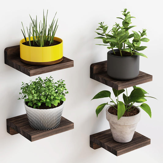DriftMini Shelves